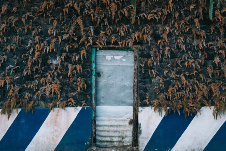 Screenshot_5
